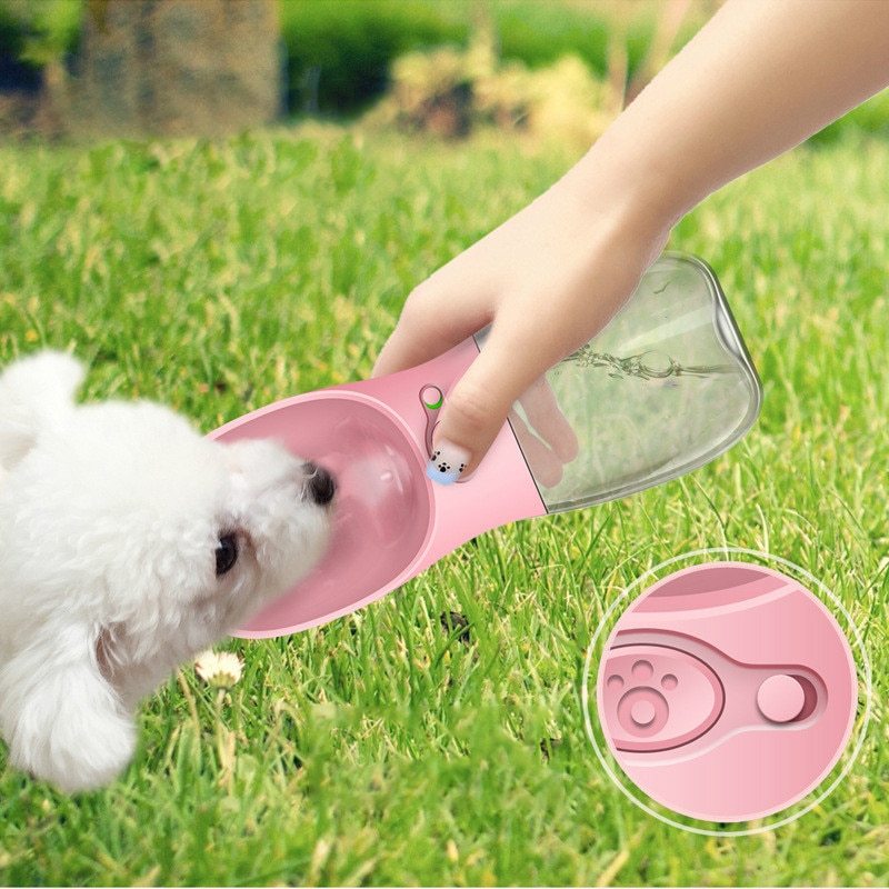 Bouteille d’Eau Portable pour Chien