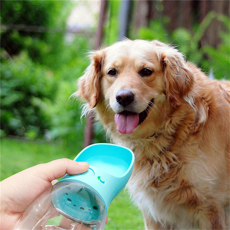 Bouteille d’Eau Portable pour Chien