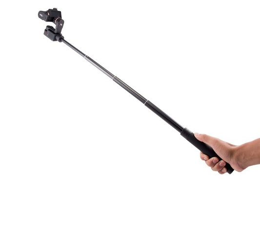 Perche à selfie